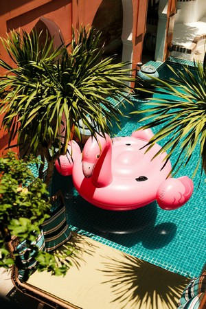 duong_ngan--a_pink_inflatable_pig_sitting_next_to_a_potted_plant--unsplash.jpg