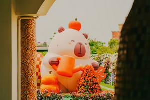 squids_Z--bear_decoration--unsplash.jpg