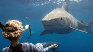 OceanRamseyCover.jpg