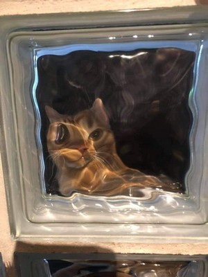 cube.jpg
