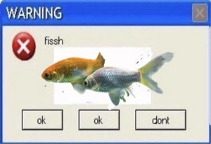 fish.jpg