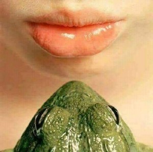 frog.jpg