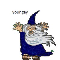 internet-wizard.jpg