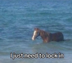 lock-in.jpg