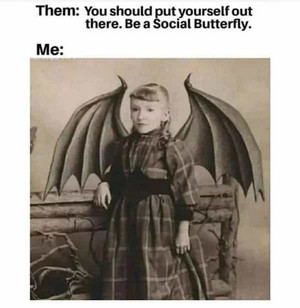 socialBat.jpg socialBat.jpg