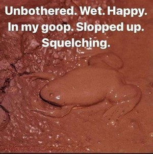 squelch.jpg