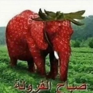 strawberry.jpg