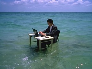 surfing-net.jpg