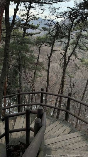 the_stairs.jpg