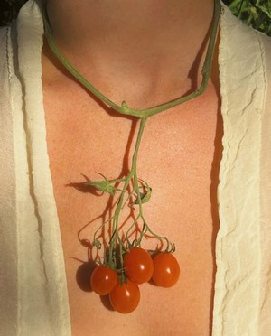 tomato.jpg