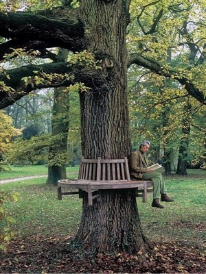 tree.jpg