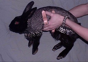 chainbunni.jpg