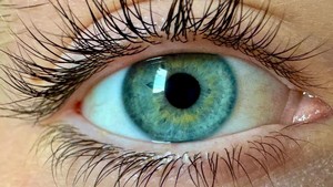 eye.jpg