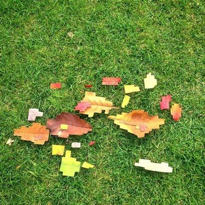 leaves.jpg