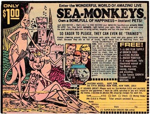 sea-monkey.jpg