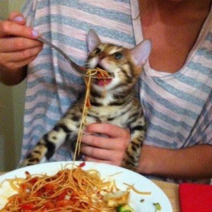 sketti.jpg