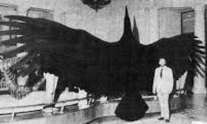 thunderbird.jpg
