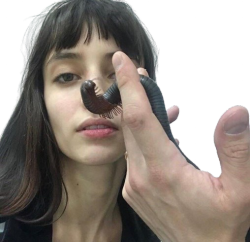 tumblr_cbb7435d9fcc015d2ae46e81f7ae5b23_680a01c1_250.png