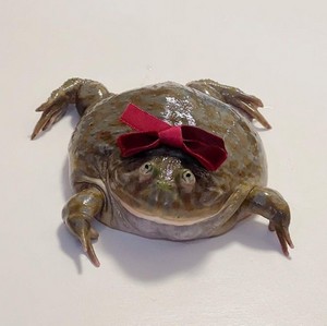 wed.jpg