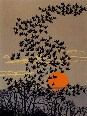 Robert_Gillmor-Aerial_Manoeuvres.jpg