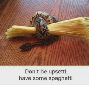 spaghetti.jpg