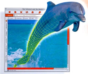 dolphin.jpg