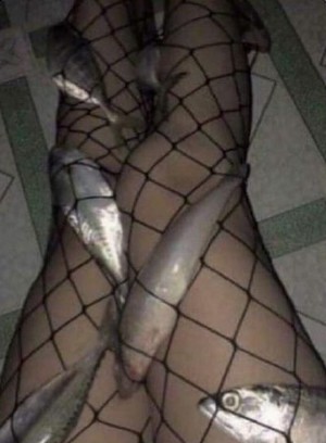 fishnets.jpg