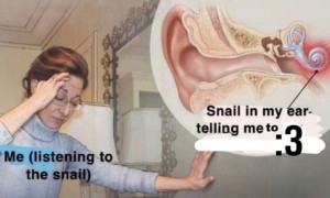 snail.jpg