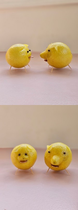 lemon-pigs.jpg