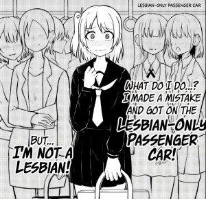 lesbian-only_passenger_car.jpg