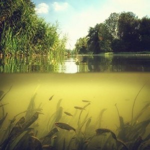 wetcore-059.jpg