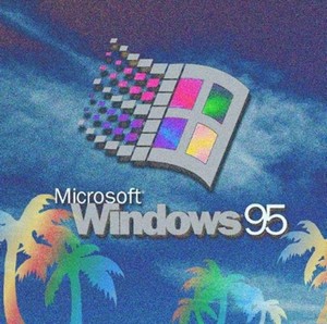 95.jpg