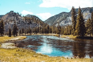 austin_farrington--forest-and-body-of-water-during-day--unsplash.jpg