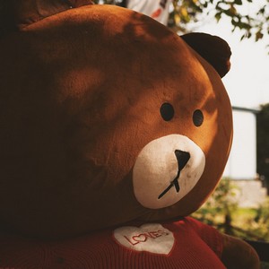 blue_bird--brown_and_white_bear_plush_toy--unsplash.jpg