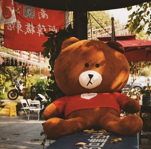blue_bird--brown_bear_plush_on_the_street--unsplash.jpg