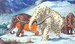 enigmatriz_002.jpg