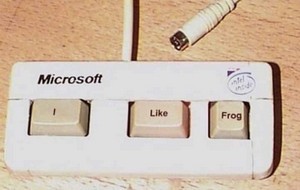 i-like-frog.jpg