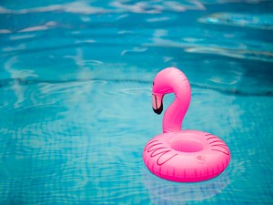 jamie_street--pink_inflatable_flamingo_on_water--unsplash.jpg