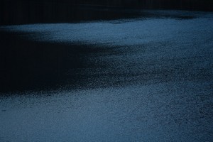 luca_romano--snow-is-falling-on-a-dark-ground--unsplash.jpg