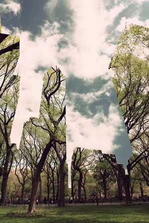 reflections_of_before.jpg