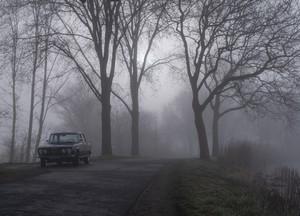 roel_siebrand--black_suv_on_road_between_bare_trees_during_foggy_day--unsplash.jpg