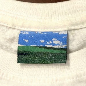 windows_wear.jpg