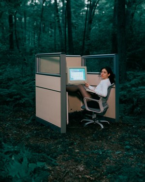 working-from-forest-003.jpg