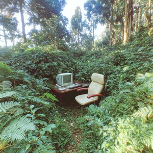 working-from-forest.jpg