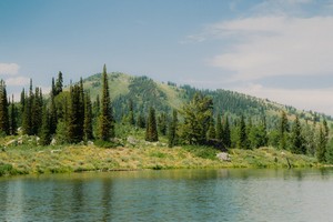 zach_kessinger--lush_green_forest_and_a_shimmering_lake--unsplash.jpg