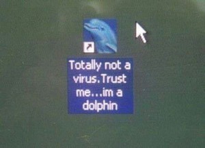 dolphin.jpg