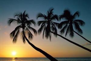 trees_and_water_and_sun.jpg